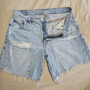 AE 90's Boyfriend Shorts